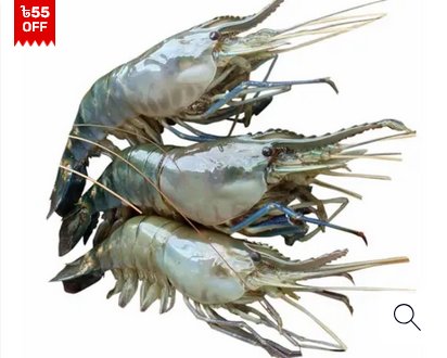 Golda Fresh Local Cultured (30-40 Pcs/kg)